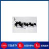 ø48毫米系列意大利SSQ 電機(jī)