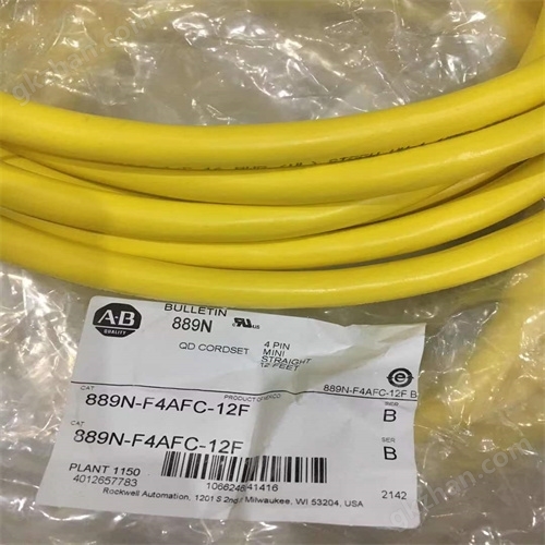 AB羅克韋爾伺服驅動器2198-D032-ERS3