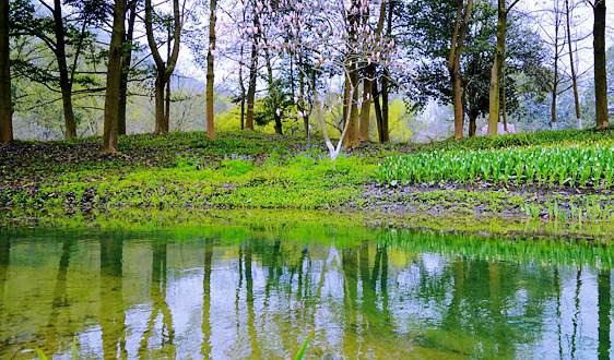 利纳马拟斥资3亿美元收购Aludyne北美制造资产
