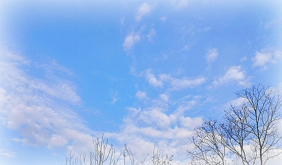 震裕科技Q3利润大增近439%，拟21亿元加码机器人等项目