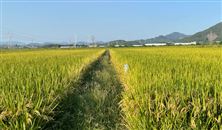 2026西北(甘肃)农机博览会暨2026西北(甘肃)农资交易会6月4日兰州盛大启幕！