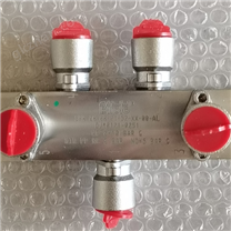 BIFOLD百弗氣控閥的標(biāo)準(zhǔn)型號(hào)