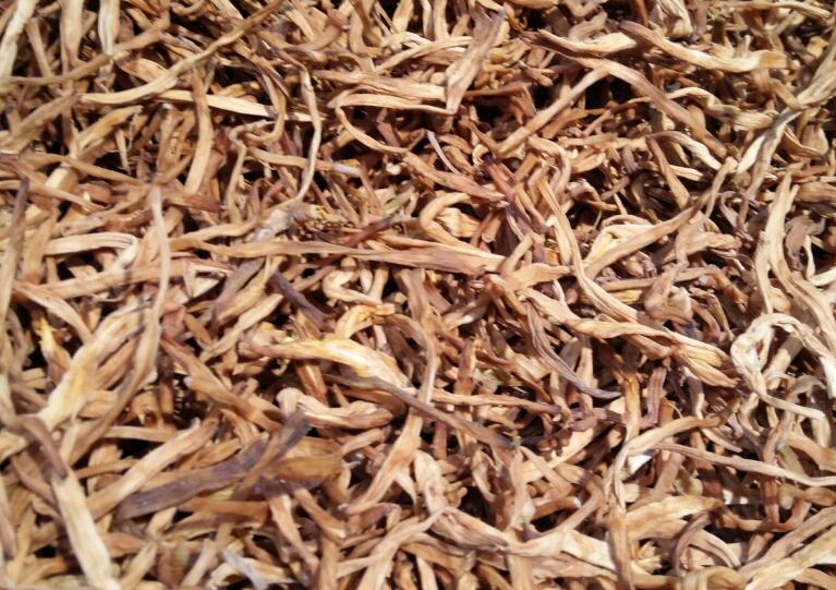 机械化赋能，祁东黄花菜绽放 “黄金价值”