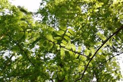 重新定义投资：当注塑机从成本中心变为价值资产